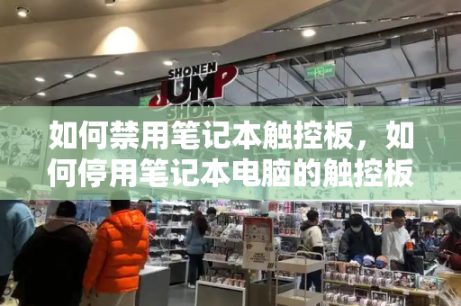 如何禁用笔记本触控板，如何停用笔记本电脑的触控板
