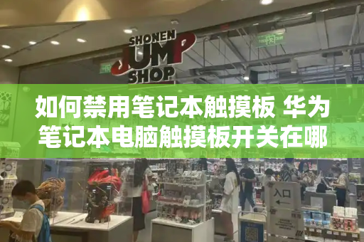 如何禁用笔记本触摸板 华为笔记本电脑触摸板开关在哪