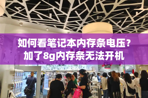 如何看笔记本内存条电压？加了8g内存条无法开机