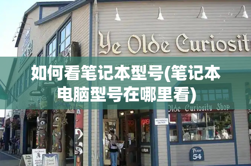 如何看笔记本型号(笔记本电脑型号在哪里看)-第1张图片-星选测评
