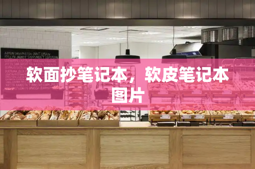 软面抄笔记本，软皮笔记本图片-第1张图片-星选测评