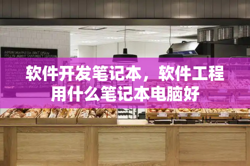 软件开发笔记本，软件工程用什么笔记本电脑好