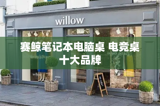 赛鲸笔记本电脑桌 电竞桌十大品牌
