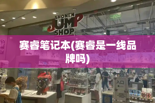 赛睿笔记本(赛睿是一线品牌吗)