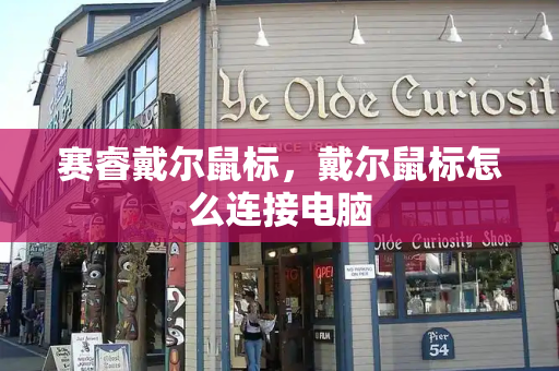 赛睿戴尔鼠标，戴尔鼠标怎么连接电脑