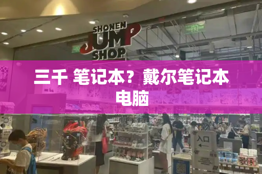 三千 笔记本？戴尔笔记本电脑-第1张图片-星选测评