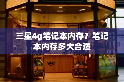 三星4g笔记本内存？笔记本内存多大合适-第1张图片-星选测评