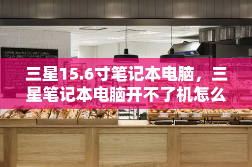 三星15.6寸笔记本电脑，三星笔记本电脑开不了机怎么办-第1张图片-星选测评