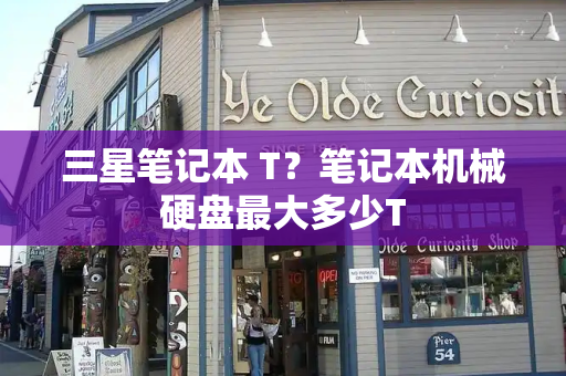 三星笔记本 T？笔记本机械硬盘最大多少T-第1张图片-星选测评