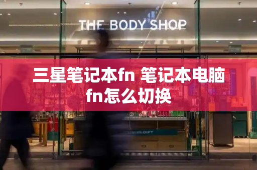 三星笔记本fn 笔记本电脑fn怎么切换