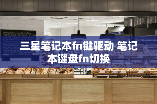 三星笔记本fn键驱动 笔记本键盘fn切换
