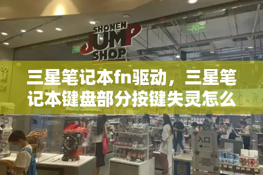 三星笔记本fn驱动，三星笔记本键盘部分按键失灵怎么办-第1张图片-星选测评