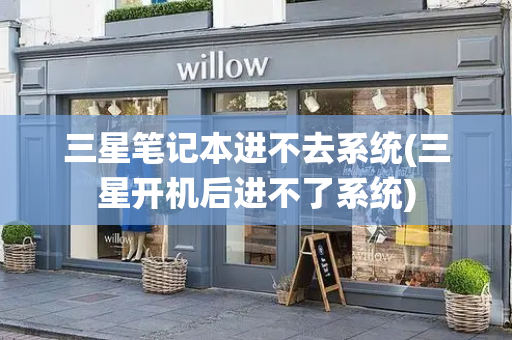 三星笔记本进不去系统(三星开机后进不了系统)
