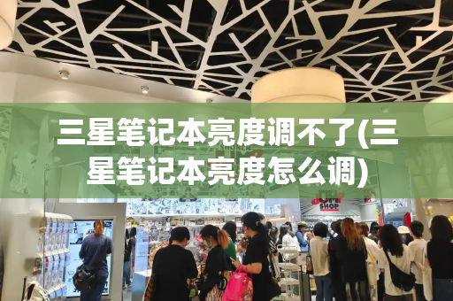 三星笔记本亮度调不了(三星笔记本亮度怎么调)