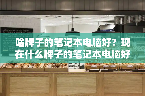 啥牌子的笔记本电脑好？现在什么牌子的笔记本电脑好-第1张图片-星选测评