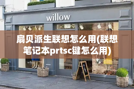 扇贝派生联想怎么用(联想笔记本prtsc键怎么用)-第1张图片-星选测评