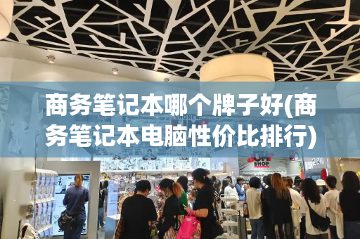 商务笔记本哪个牌子好(商务笔记本电脑性价比排行)