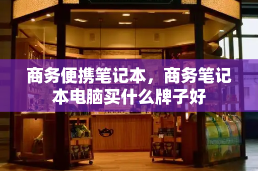 商务便携笔记本，商务笔记本电脑买什么牌子好
