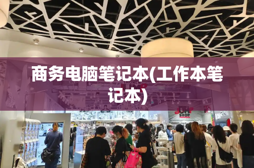 商务电脑笔记本(工作本笔记本)