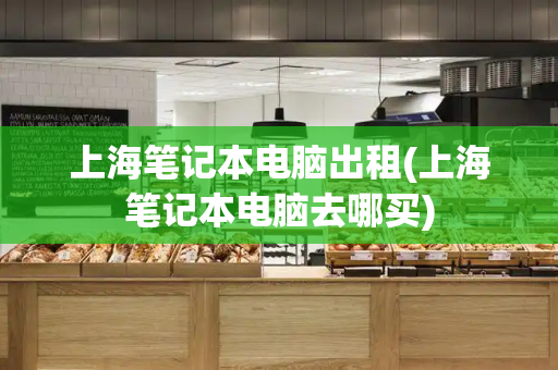 上海笔记本电脑出租(上海笔记本电脑去哪买)-第1张图片-星选测评