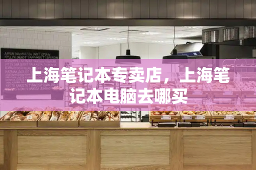 上海笔记本专卖店，上海笔记本电脑去哪买