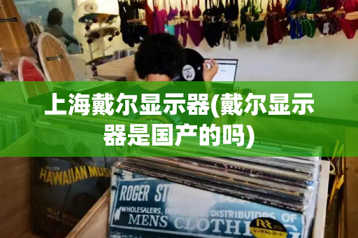 上海戴尔显示器(戴尔显示器是国产的吗)