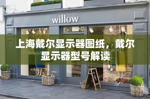 上海戴尔显示器图纸，戴尔显示器型号解读-第1张图片-星选测评
