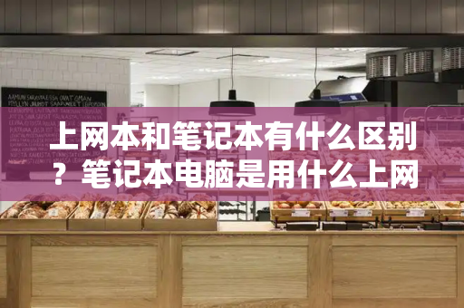 上网本和笔记本有什么区别？笔记本电脑是用什么上网的-第1张图片-星选测评