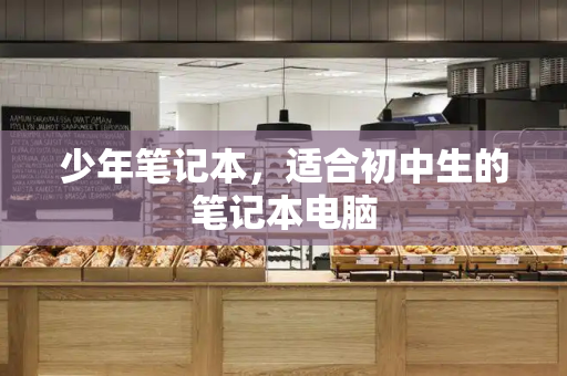 少年笔记本，适合初中生的笔记本电脑-第1张图片-星选测评