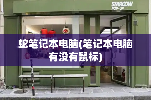 蛇笔记本电脑(笔记本电脑有没有鼠标)