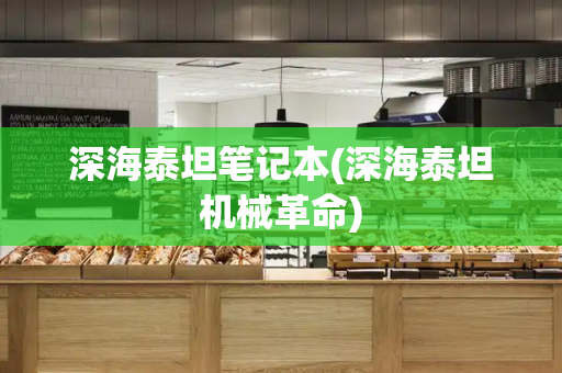深海泰坦笔记本(深海泰坦机械革命)-第1张图片-星选测评