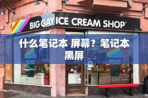 什么笔记本 屏幕？笔记本黑屏-第1张图片-星选测评