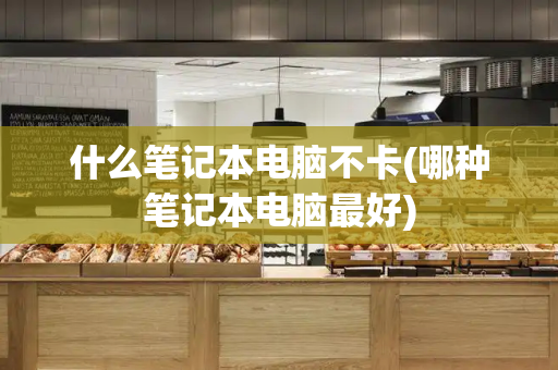 什么笔记本电脑不卡(哪种笔记本电脑最好)