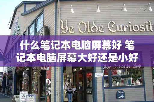什么笔记本电脑屏幕好 笔记本电脑屏幕大好还是小好