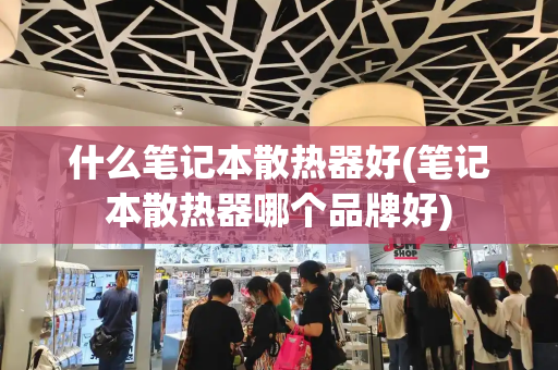 什么笔记本散热器好(笔记本散热器哪个品牌好)