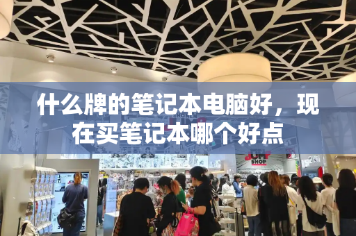 什么牌的笔记本电脑好，现在买笔记本哪个好点