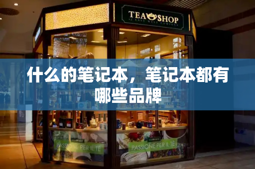 什么的笔记本，笔记本都有哪些品牌-第1张图片-星选测评