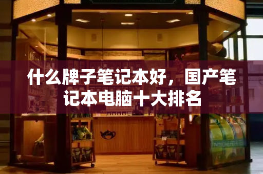 什么牌子笔记本好，国产笔记本电脑十大排名-第1张图片-星选测评