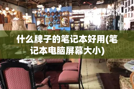 什么牌子的笔记本好用(笔记本电脑屏幕大小)