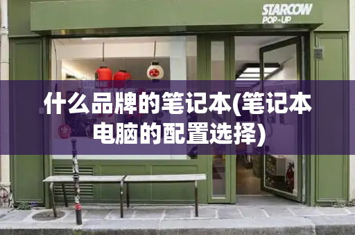 什么品牌的笔记本(笔记本电脑的配置选择)