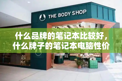 什么品牌的笔记本比较好，什么牌子的笔记本电脑性价比最高-第1张图片-星选测评