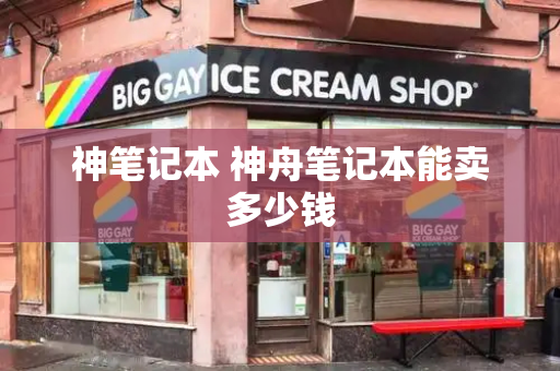 神笔记本 神舟笔记本能卖多少钱