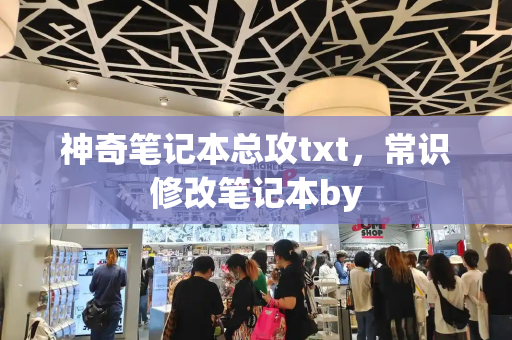 神奇笔记本总攻txt，常识修改笔记本by