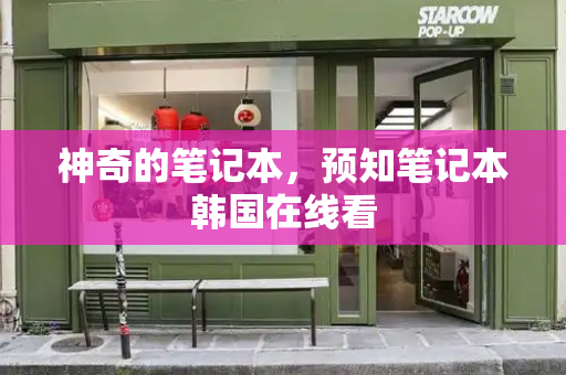 神奇的笔记本，预知笔记本韩国在线看-第1张图片-星选测评