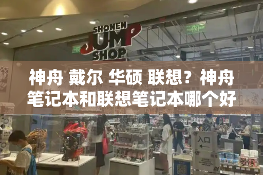 神舟 戴尔 华硕 联想？神舟笔记本和联想笔记本哪个好