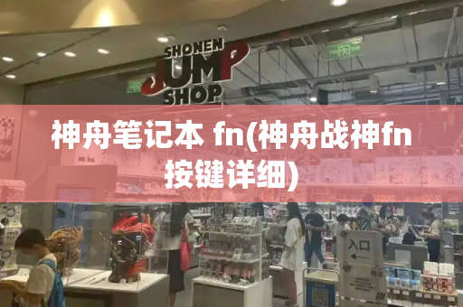 神舟笔记本 fn(神舟战神fn按键详细)