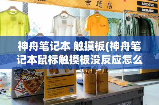 神舟笔记本 触摸板(神舟笔记本鼠标触摸板没反应怎么办)