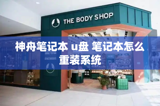 神舟笔记本 u盘 笔记本怎么重装系统