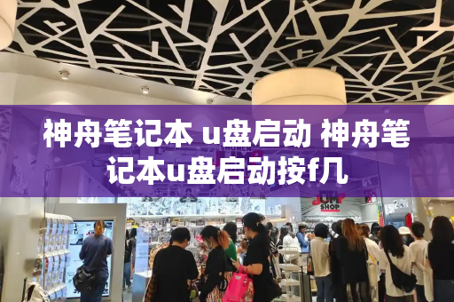 神舟笔记本 u盘启动 神舟笔记本u盘启动按f几-第1张图片-星选测评