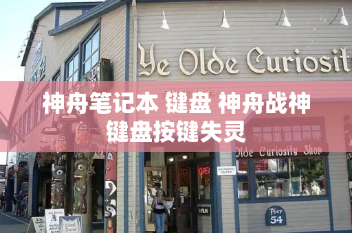神舟笔记本 键盘 神舟战神键盘按键失灵-第1张图片-星选测评